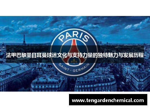 法甲巴黎圣日耳曼球迷文化与支持力量的独特魅力与发展历程