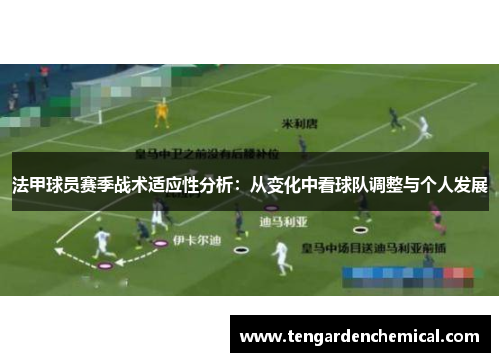 法甲球员赛季战术适应性分析：从变化中看球队调整与个人发展