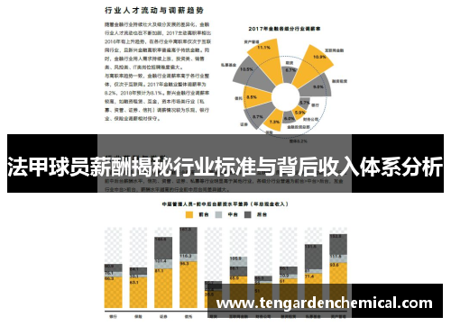 法甲球员薪酬揭秘行业标准与背后收入体系分析