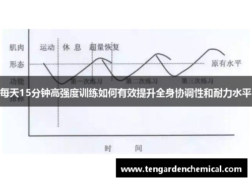 每天15分钟高强度训练如何有效提升全身协调性和耐力水平