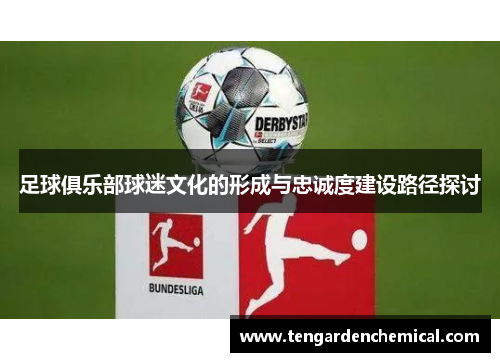 足球俱乐部球迷文化的形成与忠诚度建设路径探讨