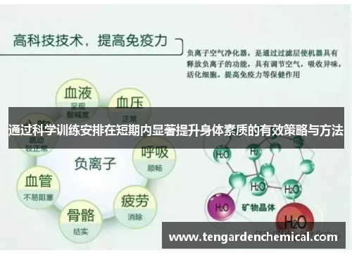 通过科学训练安排在短期内显著提升身体素质的有效策略与方法