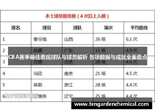 CBA赛季最佳表现球队与球员解析 各项数据与成就全面盘点