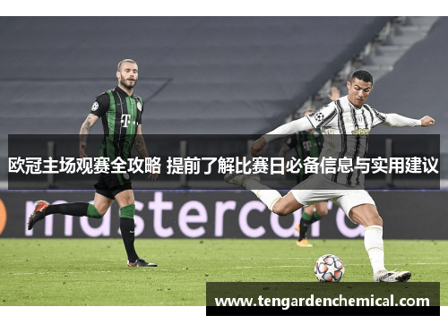 欧冠主场观赛全攻略 提前了解比赛日必备信息与实用建议