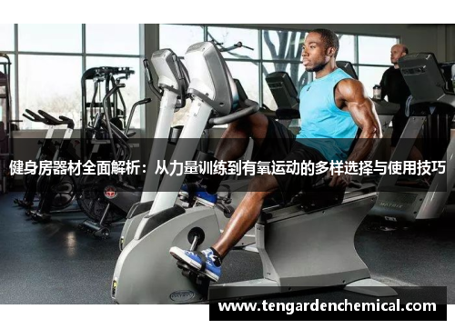 健身房器材全面解析：从力量训练到有氧运动的多样选择与使用技巧