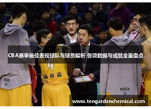 CBA赛季最佳表现球队与球员解析 各项数据与成就全面盘点