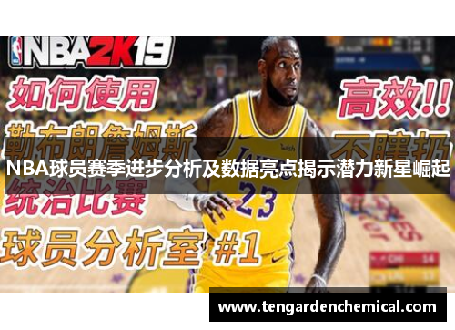 NBA球员赛季进步分析及数据亮点揭示潜力新星崛起