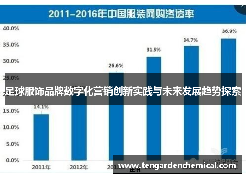 足球服饰品牌数字化营销创新实践与未来发展趋势探索
