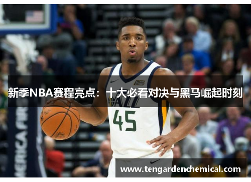 新季NBA赛程亮点：十大必看对决与黑马崛起时刻