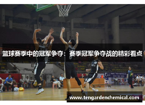 篮球赛季中的冠军争夺：赛季冠军争夺战的精彩看点