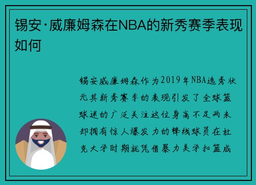 锡安·威廉姆森在NBA的新秀赛季表现如何
