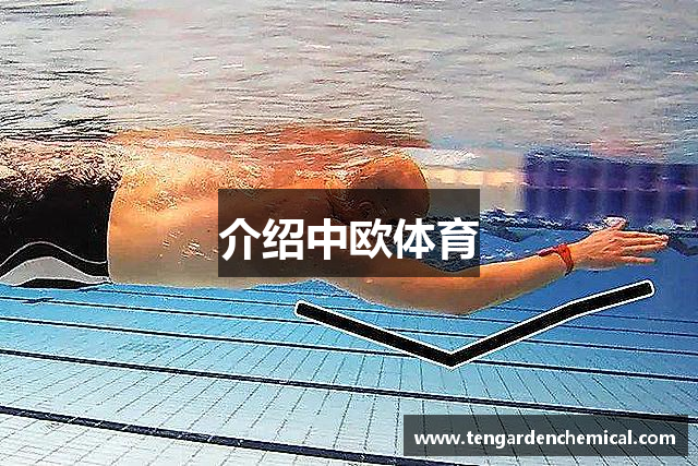 介绍中欧体育